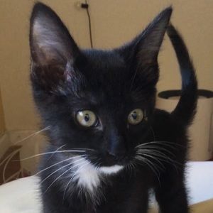 Meet your Posher, Luke